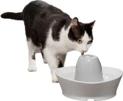 PetSafe® Streamside Ceramic Pet Fountain - Keramische Drinkfontein Voor Katten En Kleine Honden - Water Borrelt Zacht Over De Toren - Door Het Design Van Alle Kanten Bereikbaar - 1,8 Liter - PetSafe Streamside -Huisdierbenodigdheden Korting 1200x983 3