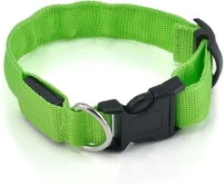 Merkloos Halsband Voor Hond Met Led Verlichting - Groen - Maat L (41-52cm) - Lichtgevende Hondenhalsband 6 Merkloos Halsband Voor Hond Met Led Verlichting - Groen - Maat L (41-52cm) - Lichtgevende Hondenhalsband -Huisdierbenodigdheden Korting 1200x986 1