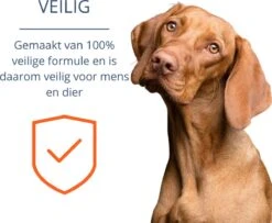 Merkloos Vlooienband Hond - 8 Maanden Bescherming - Vlooienband - Natuurlijk - Tekenband - Anti Vlooien - 63cm - Fit All Sizes - Vlooienbandjes Hond - Vlooien - Teken -Huisdierbenodigdheden Korting 1200x987 1