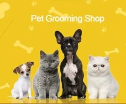 Honden Verzorging Set En Ontharing Kit. Huisdieren Grooming Gereedschap -Huisdierbenodigdheden Korting 1200x992 4