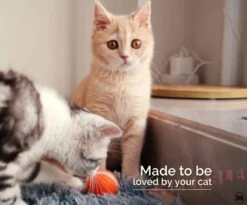 Cheerble Mini Ball 2.0 - Slimme Interactieve Zelf Rollende Bal Voor Katten - 3 Speelmodi - Kattenspeeltjes - USB Oplaadbaar - Rood 18 Cheerble Mini Ball 2.0 - Slimme Interactieve Zelf Rollende Bal Voor Katten - 3 Speelmodi - Kattenspeeltjes - USB Oplaadbaar - Rood -Huisdierbenodigdheden Korting 1200x994 6