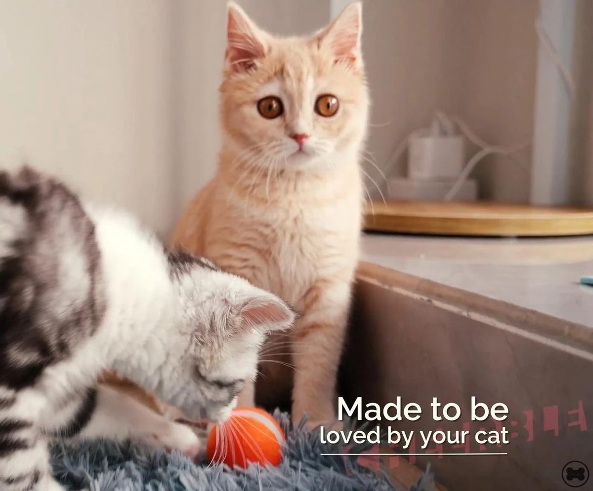 Cheerble Mini Ball 2.0 - Slimme Interactieve Zelf Rollende Bal Voor Katten - 3 Speelmodi - Kattenspeeltjes - USB Oplaadbaar - Rood 7 Cheerble Mini Ball 2.0 - Slimme Interactieve Zelf Rollende Bal Voor Katten - 3 Speelmodi - Kattenspeeltjes - USB Oplaadbaar - Rood - Image 5