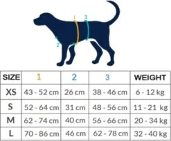 AnnyX Hondentuig - FUN - LIMTED EDITION - Speurtuig - Camouflage - Legergroen - Maat S - Borstomvang 52-64cm - Gewicht Hond 9 -19 Kg - My K9 8 AnnyX Hondentuig - FUN - LIMTED EDITION - Speurtuig - Camouflage - Legergroen - Maat S - Borstomvang 52-64cm - Gewicht Hond 9 -19 Kg - My K9 -Huisdierbenodigdheden Korting 1200x995 11