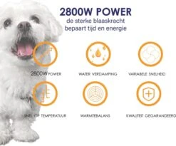 Forgoods Professionele Hondenfohn - Waterblazer Voor Honden - Hondenfohn Met 4 Opzetstukken - 2800W Verstelbaar Vermogen - Roze -Huisdierbenodigdheden Korting 1200x997