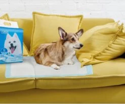 Nobleza 48LXE - Puppy Training Pads - 60 X 90 Cm - Zindelijkheidstraining - 120 Stuks -Huisdierbenodigdheden Korting 1200x997 3