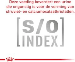 Royal Canin Veterinary Diet Cat Anallergenic - Kattenvoer - 4 Kg -Huisdierbenodigdheden Korting 1200x998 10