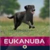 Eukanuba Dog Adult - Large Breed - Kip - Hondenvoer - 12 Kg 1 Eukanuba Dog Adult - Large Breed - Kip - Hondenvoer - 12 Kg -Huisdierbenodigdheden Korting 589x1200 2