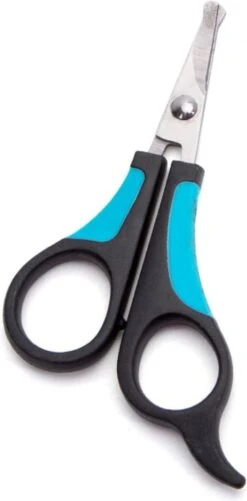 Nobleza Potenschaar - Snuitschaar - Stompe Schaar - Hondenschaar - Afgerond - Honden En Katten - RVS -Huisdierbenodigdheden Korting 592x1200 1