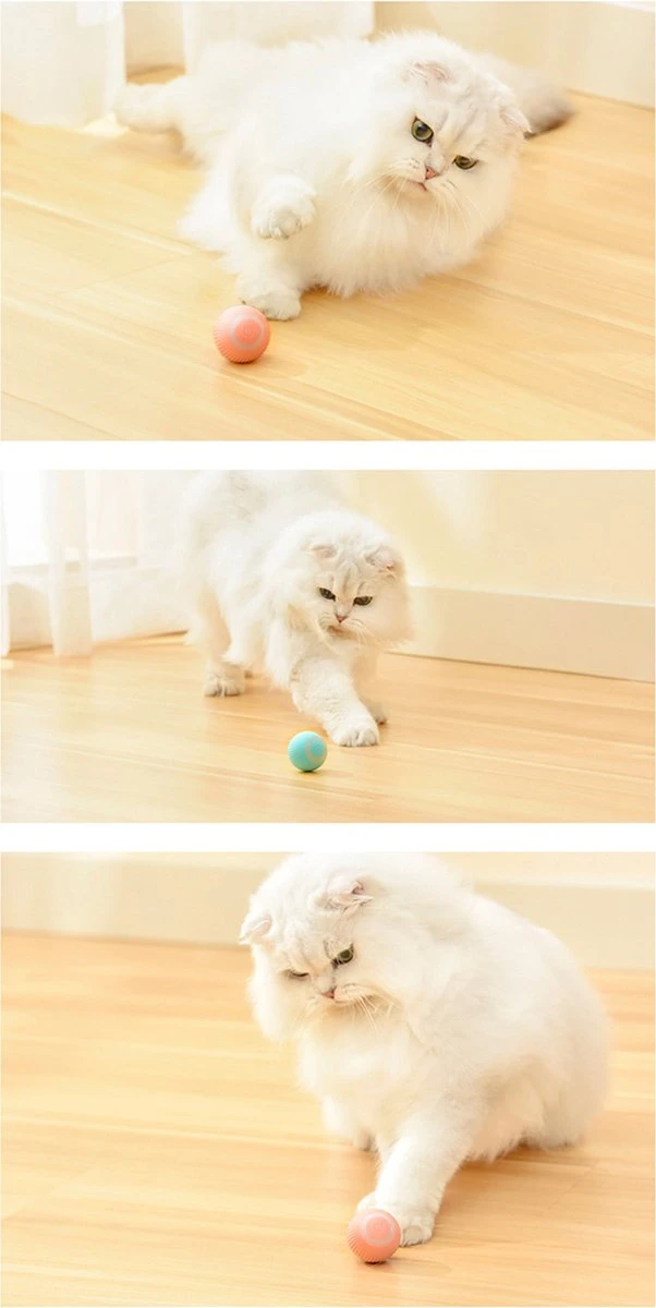 Merkloos Pecute® Elektrische Speelbal - Slimme Interactieve Zelfrollende Bal - Kat En Hond Speelgoed - Kattenspeelgoed - Blauw 4 Merkloos Pecute® Elektrische Speelbal - Slimme Interactieve Zelfrollende Bal - Kat En Hond Speelgoed - Kattenspeelgoed - Blauw - Image 2