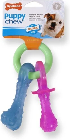 Nylabone Puppy Teething Pacifier Flexible - Hondenspeelgoed - Bacon 215x100x38 Mm 108 G Roze Blauw Groen Tot 11kg Small -Huisdierbenodigdheden Korting 605x1200 2