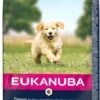 Eukanuba Dog Puppy & Junior - All Breeds - Lamb & Rice - 12 Kg