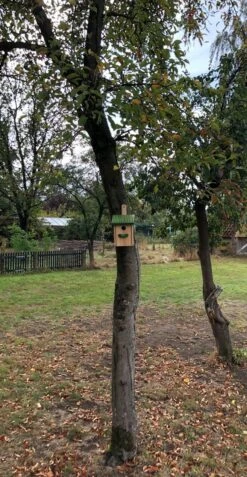 GARDEN SPIRIT Vogelhuisje Nestkast Boswachtershutje Koolmees - Groen -Huisdierbenodigdheden Korting 622x1200 1