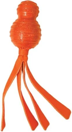 Kong Wubba Comet - Hondenspeelgoed - Assorti - M 15 Kong Wubba Comet - Hondenspeelgoed - Assorti - M -Huisdierbenodigdheden Korting 657x1200 1