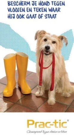 Prac-tic Grote Hond 22 Tot 50 Kg - 1 St à 3 Pipetten -Huisdierbenodigdheden Korting 658x1200 6
