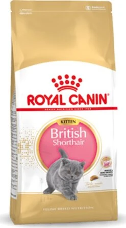 Royal Canin British Shorthair Kitten - 2 Kg -Huisdierbenodigdheden Korting 668x1200 1