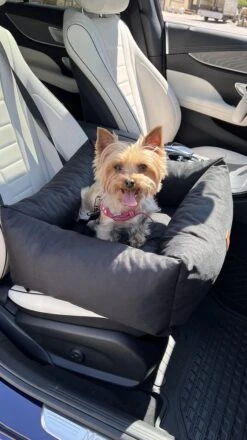 Julian Car Seat Size: S, Color: Black, Material: Codura -Huisdierbenodigdheden Korting 674x1200 1