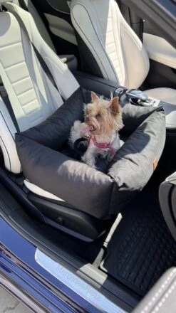 Julian Car Seat Size: S, Color: Black, Material: Codura -Huisdierbenodigdheden Korting 674x1200 2