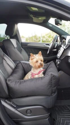 Julian Car Seat Size: S, Color: Black, Material: Codura -Huisdierbenodigdheden Korting 675x1200 1