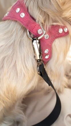 Julian Car Seat Size: S, Color: Black, Material: Codura -Huisdierbenodigdheden Korting 675x1200