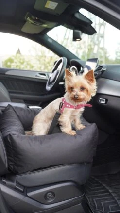 Julian Car Seat Size: S, Color: Black, Material: Codura -Huisdierbenodigdheden Korting 675x1200 7