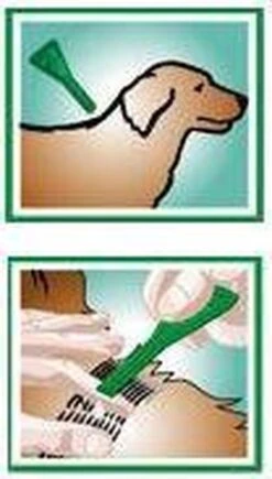 Frontline Spot-On M Anti Vlooienmiddel - Hond - 10 Tot 20 Kg - 6 Pipetten 15 Frontline Spot-On M Anti Vlooienmiddel - Hond - 10 Tot 20 Kg - 6 Pipetten -Huisdierbenodigdheden Korting 681x1200 4