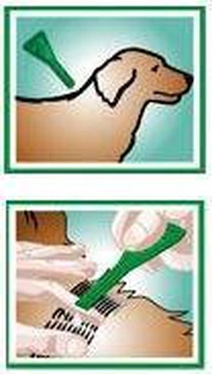 Frontline Spot-On M Anti Vlooienmiddel - Hond - 10 Tot 20 Kg - 6 Pipetten 9 Frontline Spot-On M Anti Vlooienmiddel - Hond - 10 Tot 20 Kg - 6 Pipetten - Image 7