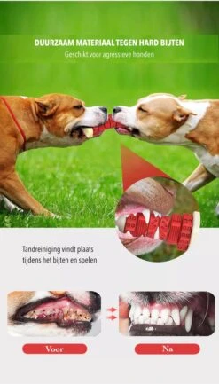 3-in-1 Hondenkauwbot - Gebitsverzorging - IQ Training - Voedsel Afgifte Functie - Geometrisch Ontwerp - Duurzaam & Milieuvriendelijk - Kauwbot - Honden - Hondenbot - Rood -Huisdierbenodigdheden Korting 684x1200