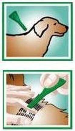 Bayer Bolfo Gold 400 Anti Vlooienmiddel - Hond - >25 Kg - 4 Pipetten -Huisdierbenodigdheden Korting 688x1200