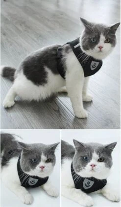 Zavelo® Honden Tuigje - Puppy En Kattentuigje - Hondenharnas - Reflecterend - Incl. Bijpassend Riempje - Zwart-Maat: S -Huisdierbenodigdheden Korting 703x1200