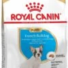 Royal Canin French Bulldog Junior 3 KG -Huisdierbenodigdheden Korting 717x1200 2