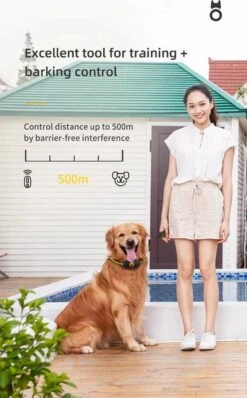 Anti Blafband EN Trainingshalsband In 1 - UNIEK SYSTEEM - 1000m Bereik - 100 Levels - Trainingsband - Antiblafband - Teletac - Geluid En Vibratie/trilling - Grote En Kleine Honden - Volledig Waterdicht - Anti Blafband -Huisdierbenodigdheden Korting 744x1200 1