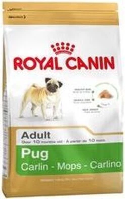 Royal Canin Mopshond/Pug Adult - Hondenvoer - 3 Kg -Huisdierbenodigdheden Korting 753x1200