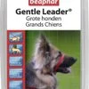 Beaphar Gentle Leader Halti Rood - Large -Huisdierbenodigdheden Korting 786x1200 7