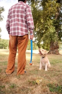 Chuckit! Ultra Ball M – Honden Speelgoed – Hondenbal– Drijft Op Water – Stuitert – Veilig Voor Gebit – Honden Bal – Ideaal Met De Ballenwerper – Ø 6cm – Oranje/Blauw – Hondenspeeltjes– 4-Pack -Huisdierbenodigdheden Korting 797x1200 4