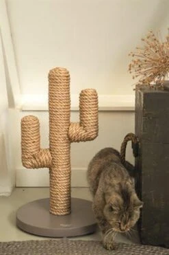 Designed By Lotte Houten Cactus - Krabpaal - Taupe - 35 X 35 X 60 Cm -Huisdierbenodigdheden Korting 798x1200 10