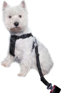 Trixie Auto-Tuig Zwart Maat - M -Huisdierbenodigdheden Korting 798x1200 3