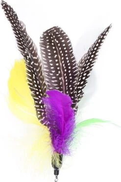 Merkloos Kattenhengel Met 10 Opzetstukjes - Kat Speelhengel Met Veren - Speelgoed Hengel Voor Katten – Kittenspeeltjes Met Veer – Kattenspeelgoed – Katten Speeltjes -Huisdierbenodigdheden Korting 799x1200 11