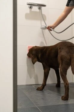 Eat Slow Live Longer Fun & Relax Lick Mat – Likmat Voor Honden – Anti-schrok Bak – Slowfeeder – Gemakkelijk Overal Te Plaatsen - Likplaat Voor Huisdieren – Uitdaging Voor Je Huisdier – Grijs - L23xB19xH1 Cm 7 Eat Slow Live Longer Fun & Relax Lick Mat – Likmat Voor Honden – Anti-schrok Bak – Slowfeeder – Gemakkelijk Overal Te Plaatsen - Likplaat Voor Huisdieren – Uitdaging Voor Je Huisdier – Grijs - L23xB19xH1 Cm -Huisdierbenodigdheden Korting 799x1200 4