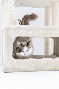 Petrebels Lodge 107 Krabpaal - Creme - Design - Zeer Stabiel 15 Petrebels Lodge 107 Krabpaal - Creme - Design - Zeer Stabiel -Huisdierbenodigdheden Korting 799x1200 7