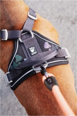 Hurtta Weekend Warrior Harness Zwart Maat - 60-80 -Huisdierbenodigdheden Korting 800x1200 26