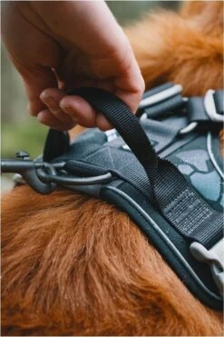 Hurtta Weekend Warrior Eco Harness - 45/60 Cm - Hedge 15 Hurtta Weekend Warrior Eco Harness - 45/60 Cm - Hedge -Huisdierbenodigdheden Korting 800x1200 28