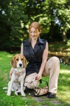 Hondenriem - Leiband Hond - Rollijn - 5 Meter - Beige - Riem Met Oprolsysteem - Hondenriem Flexi - Hondenlijn - Uitlaatriem -Huisdierbenodigdheden Korting 800x1200 3