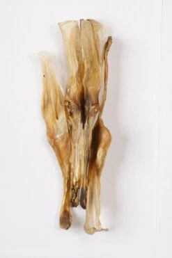 Konijn Oor Konijnoren 1kg Van De Snackmeester 100% Natuurlijk Natural Naturel