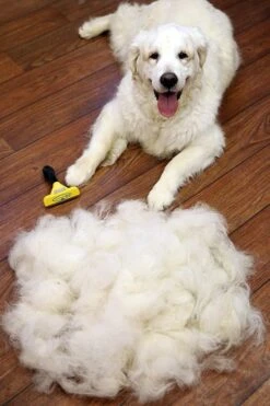 Furminator® Hond Langhaar - Vermindert Haaruitval Tot 90% - Hondenborstel - L -Huisdierbenodigdheden Korting 800x1200 5