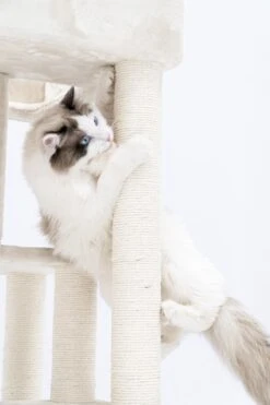 Petrebels Lodge 107 Krabpaal - Creme - Design - Zeer Stabiel 14 Petrebels Lodge 107 Krabpaal - Creme - Design - Zeer Stabiel -Huisdierbenodigdheden Korting 800x1200 56