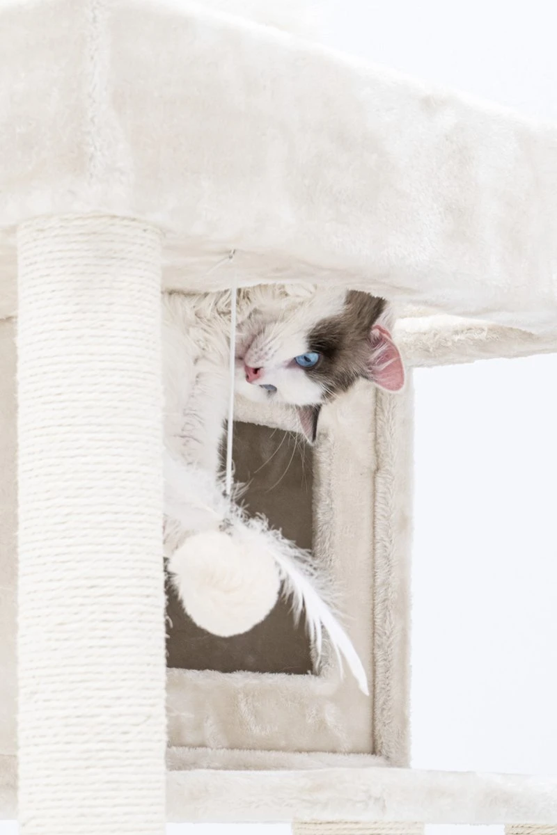 Petrebels Lodge 107 Krabpaal - Creme - Design - Zeer Stabiel 7 Petrebels Lodge 107 Krabpaal - Creme - Design - Zeer Stabiel - Image 6