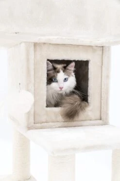 Petrebels Lodge 107 Krabpaal - Creme - Design - Zeer Stabiel 18 Petrebels Lodge 107 Krabpaal - Creme - Design - Zeer Stabiel -Huisdierbenodigdheden Korting 800x1200 58