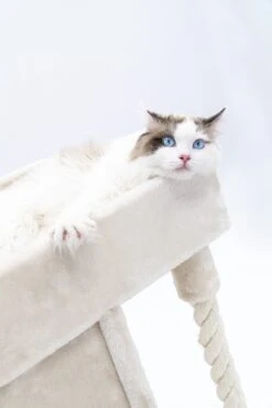 Petrebels Lodge 107 Krabpaal - Creme - Design - Zeer Stabiel 20 Petrebels Lodge 107 Krabpaal - Creme - Design - Zeer Stabiel -Huisdierbenodigdheden Korting 800x1200 59