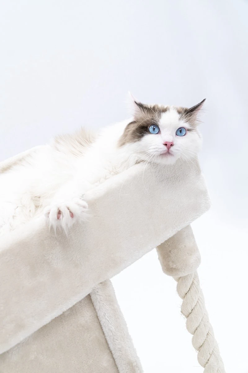 Petrebels Lodge 107 Krabpaal - Creme - Design - Zeer Stabiel 10 Petrebels Lodge 107 Krabpaal - Creme - Design - Zeer Stabiel - Image 9