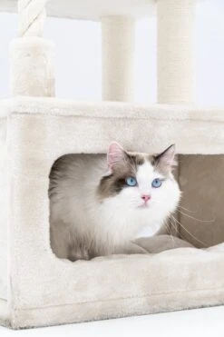 Petrebels Lodge 107 Krabpaal - Creme - Design - Zeer Stabiel 21 Petrebels Lodge 107 Krabpaal - Creme - Design - Zeer Stabiel -Huisdierbenodigdheden Korting 800x1200 60